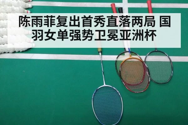 badminton match court